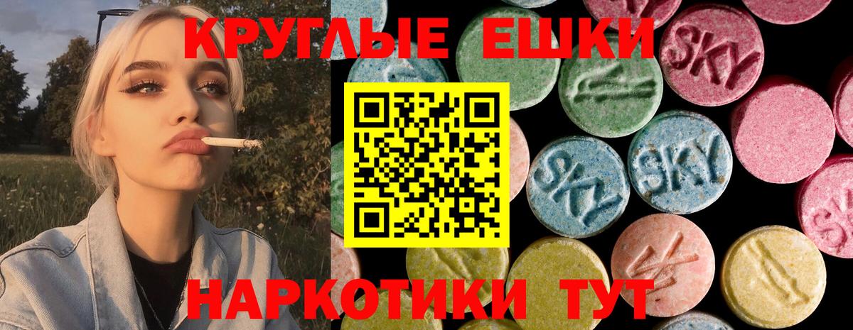 ЭКСТАЗИ бентли Гурьевск