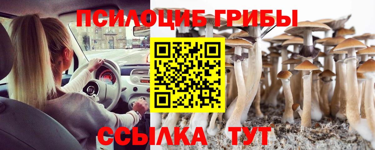 Псилоцибиновые грибы прущие грибы  Вход с VPN  Гурьевск 